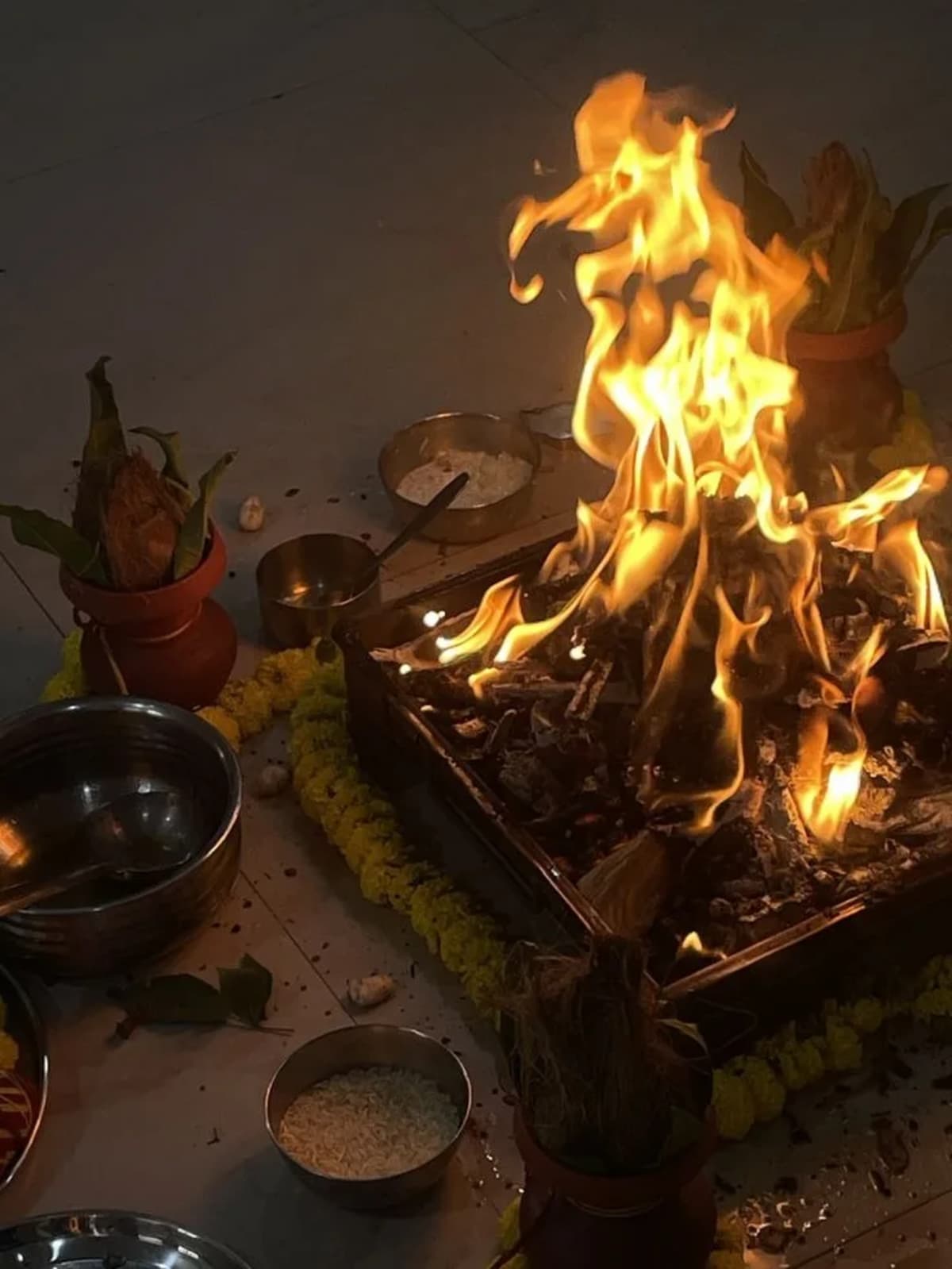 Pandit Ji — Sidhi Vinayak Jyotish Kendra, Vedic Astrologer